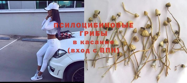 эйфоретик Алексеевка