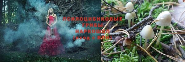 эйфоретик Алексеевка