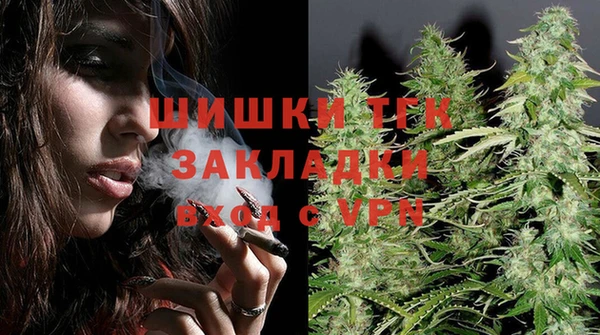 МДПВ Алексин