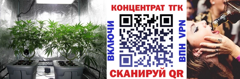 ТГК THC oil  Тара 