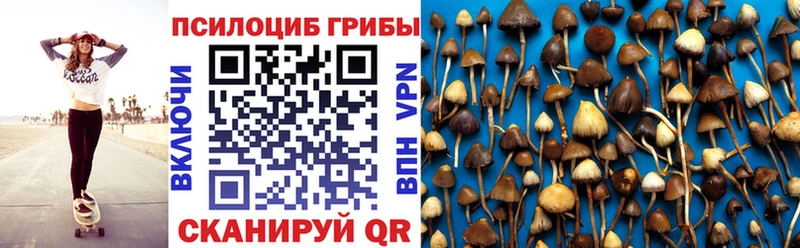 Галлюциногенные грибы GOLDEN TEACHER  гидра зеркало  Тара 